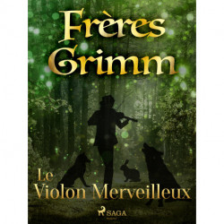 Le Violon Merveilleux
