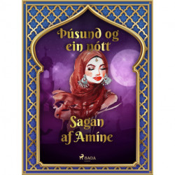 Sagan af Amíne (Þúsund og ein nótt 35)