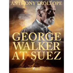 George Walker at Suez