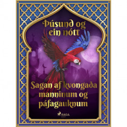 Sagan af kvongaða manninum og páfagauknum (Þúsund og ein nótt 14)