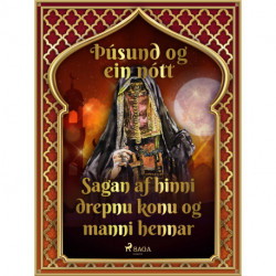 Sagan af hinni drepnu konu og manni hennar (Þúsund og ein nótt 45)