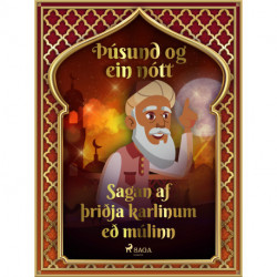 Sagan af þriðja karlinum með múlinn (Þúsund og ein nótt 6)