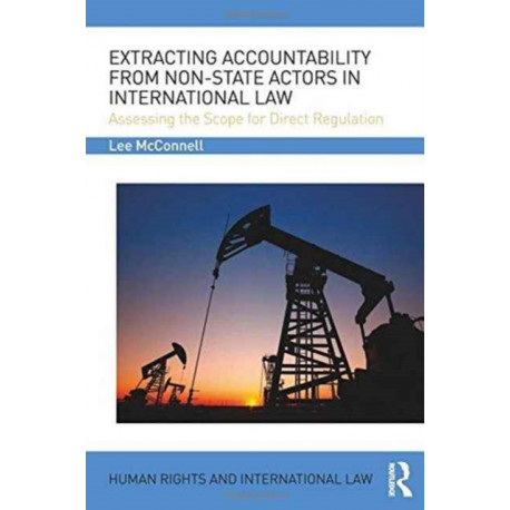 Extracting Accountability from Non-State Actors in International Law: Assessing the Scope for Direct Regulation