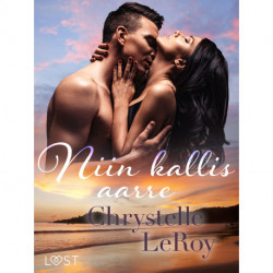 Niin kallis aarre - eroottinen novelli