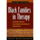 Black Families in Therapy, Second Edition: Understanding the African American Experience