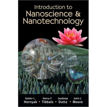 Introduction to Nanoscience and Nanotechnology