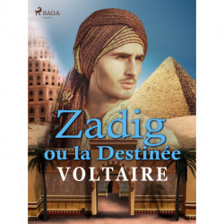 Zadig ou la Destinée