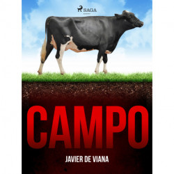Campo