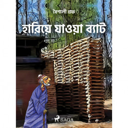 হারিয়ে যাওয়া ব্যাট