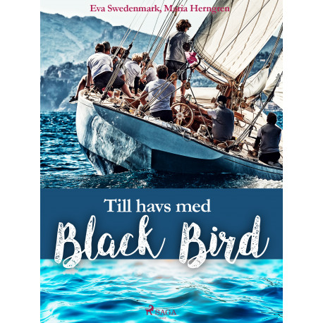 Till havs med Black Bird