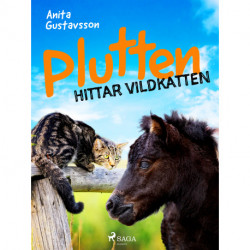 Plutten hittar vildkatten