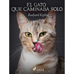 El gato que caminaba solo