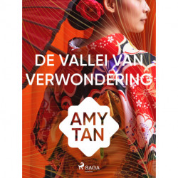 De vallei van verwondering