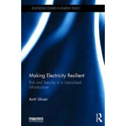 Making Electricity Resilient: Risk and Security in a Liberalized Infrastructure