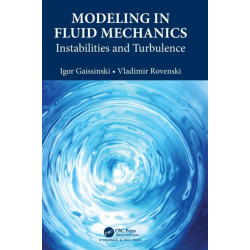 Modeling in Fluid Mechanics: Instabilities and Turbulence