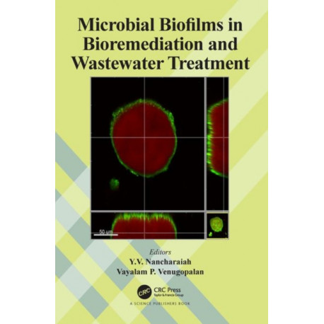Microbial Biofilms in Bioremediation and Wastewater Treatment