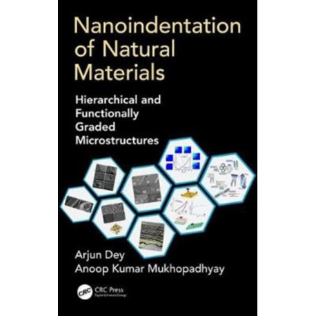 Nanoindentation of Natural Materials: Hierarchical and Functionally Graded Microstructures