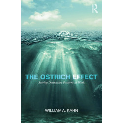 The Ostrich Effect: Solving Destructive Patterns at Work