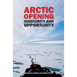 Arctic Opening: Insecurity And Opportunity