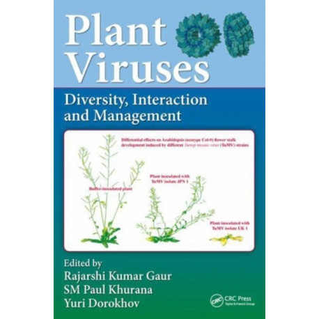 Plant Viruses: Diversity, Interaction and Management