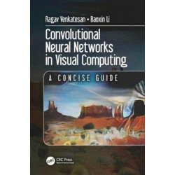Convolutional Neural Networks in Visual Computing: A Concise Guide