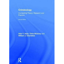 Criminology: Connecting Theory, Research and Practice