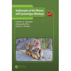 Erythrocytes of the Rhesus and Cynomolgus Monkeys