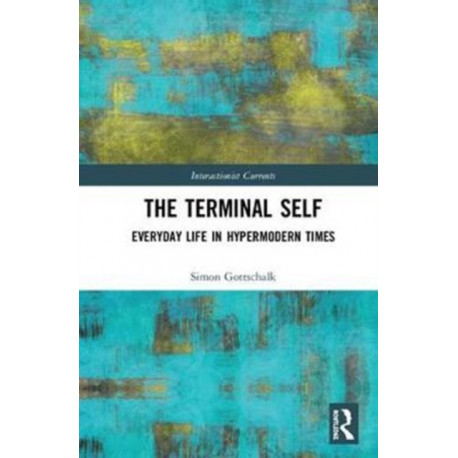 The Terminal Self: Everyday Life in Hypermodern Times