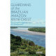 Guardians of the Brazilian Amazon Rainforest: Environmental Organizations and Development