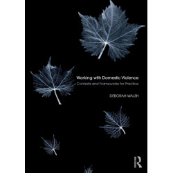 Working with Domestic Violence: Contexts and Frameworks for Practice