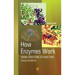 How Enzymes Work: From Structure to Function