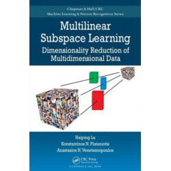 Multilinear Subspace Learning: Dimensionality Reduction of Multidimensional Data