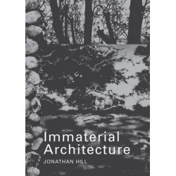 Immaterial Architecture