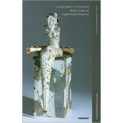 A Different Wisdom: Reflections on Supervision Practice: Guide to Supervision