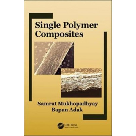 Single-Polymer Composites
