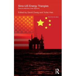 Sino-U.S. Energy Triangles: Resource Diplomacy Under Hegemony