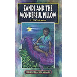 Zandi and the Wonderful Pillow