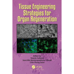 Tissue Engineering Strategies for Organ Regeneration