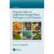 Pictorial Atlas of Soilborne Fungal Plant Pathogens and Diseases