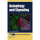 Autophagy and Signaling