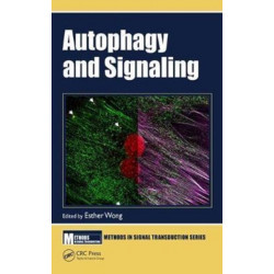 Autophagy and Signaling
