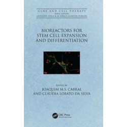Bioreactors for Stem Cell Expansion and Differentiation