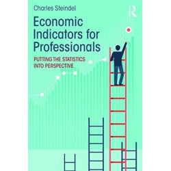 Economic Indicators for Professionals: Putting the Statistics into Perspective