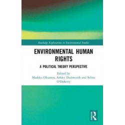 Environmental Human Rights: A Political Theory Perspective