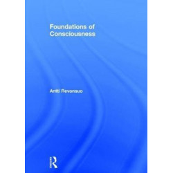 Foundations of Consciousness