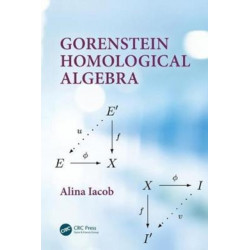 Gorenstein Homological Algebra