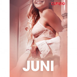 Juni – eroottinen novelli