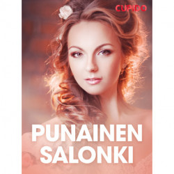 Punainen salonki – erootinen novelli