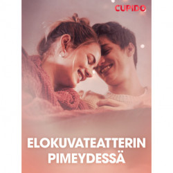 Elokuvateatterin pimeydessä – eroottinen novelli