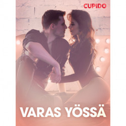 Varas yössä – eroottinen novelli